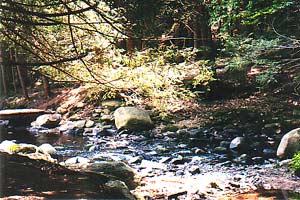 river