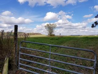 View of fields on a summer's day in Pomfret.