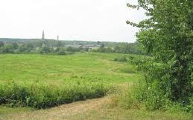 field